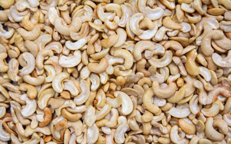 Ghana’s Groundbreaking Policy Shift in the Cashew Sector: What It Means for the Future