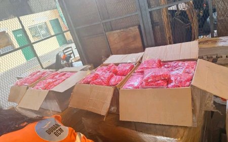 Cameroon Destroys Record 2.5 Tons of Cocaine and Tramadol Seized at Douala Airport