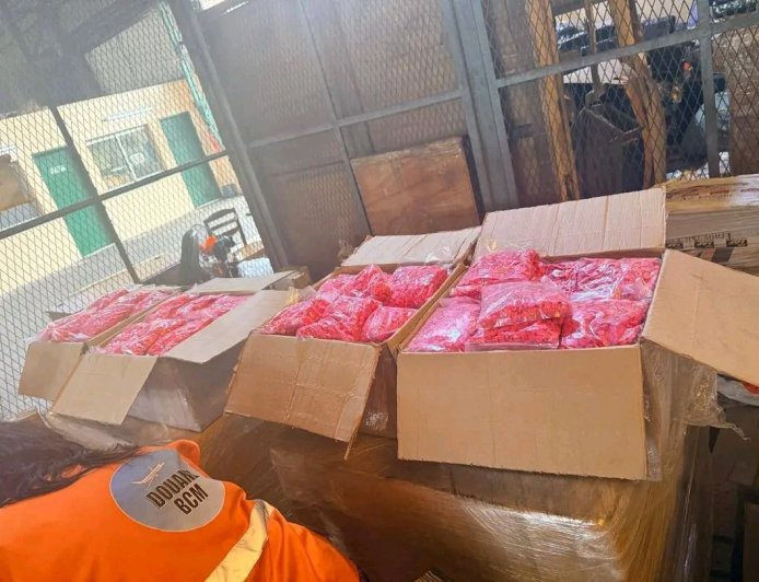 Cameroon Destroys Record 2.5 Tons of Cocaine and Tramadol Seized at Douala Airport