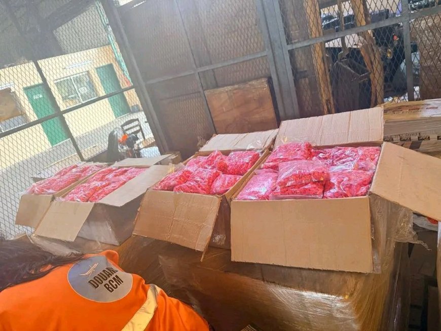 Cameroon Destroys Record 2.5 Tons of Cocaine and Tramadol Seized at Douala Airport